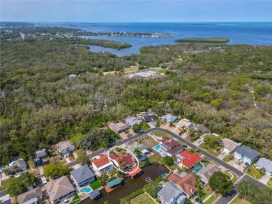 Welcome to this beautiful home with full canal access with 2300 on Innisbrook Resort and Golf Club in Florida - for sale on GolfHomes.com, golf home, golf lot