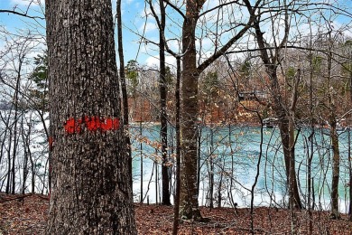 Waterfront lot on Lake Hartwell in gated subdivision. Close on The Trail At Chickasaw Pointe in South Carolina - for sale on GolfHomes.com, golf home, golf lot