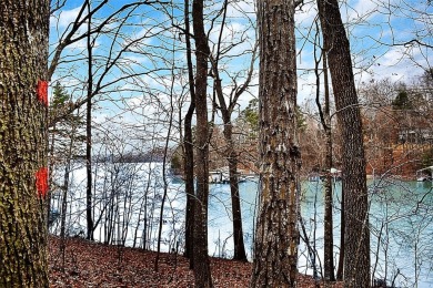 Waterfront lot on Lake Hartwell in gated subdivision. Close on The Trail At Chickasaw Pointe in South Carolina - for sale on GolfHomes.com, golf home, golf lot