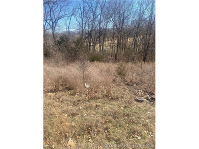 Prime Development Opportunity on The Cove Golf Course! Situated on Seasons Ridge At Four Seasons in Missouri - for sale on GolfHomes.com, golf home, golf lot