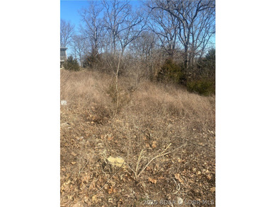 Prime Development Opportunity on The Cove Golf Course! Situated on Seasons Ridge At Four Seasons in Missouri - for sale on GolfHomes.com, golf home, golf lot