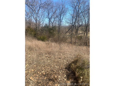 Prime Development Opportunity on The Cove Golf Course! Situated on Seasons Ridge At Four Seasons in Missouri - for sale on GolfHomes.com, golf home, golf lot