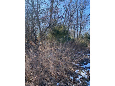 Prime Building Opportunity in Country Club Cove! Located in the on Seasons Ridge At Four Seasons in Missouri - for sale on GolfHomes.com, golf home, golf lot