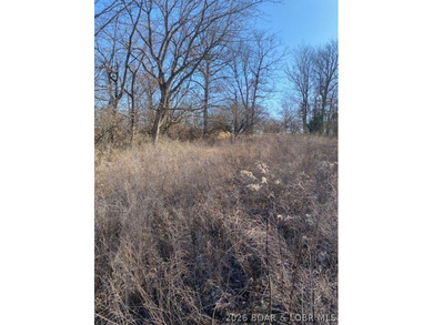 Prime Building Opportunity in Country Club Cove! Located in the on Seasons Ridge At Four Seasons in Missouri - for sale on GolfHomes.com, golf home, golf lot