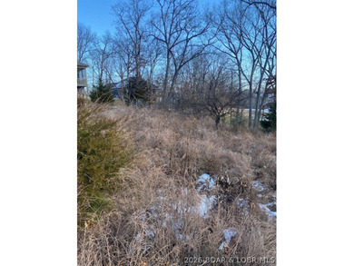 Prime Building Opportunity in Country Club Cove! Located in the on Seasons Ridge At Four Seasons in Missouri - for sale on GolfHomes.com, golf home, golf lot