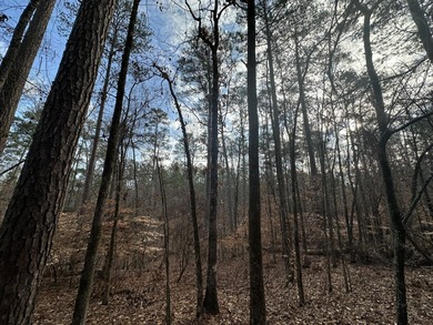 Large & Secluded 0.60 Acre Residential Lot in the Shenandoah on Monticello Golf Club At Savannah Lakes in South Carolina - for sale on GolfHomes.com, golf home, golf lot