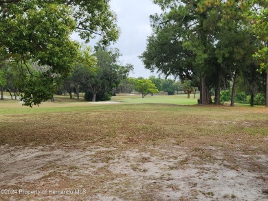 Ground Floor Condo In Fairway At The Heather- 2 Bedrooms 2 Full on Heather Golf and Country Club in Florida - for sale on GolfHomes.com, golf home, golf lot