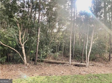 Discover Your Dream Lot in Hampton Plantation in St Simons on The King and Prince Golf Course, Home of the Hampton Club in Georgia - for sale on GolfHomes.com, golf home, golf lot