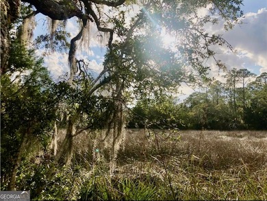 Discover Your Dream Lot in Hampton Plantation in St Simons on The King and Prince Golf Course, Home of the Hampton Club in Georgia - for sale on GolfHomes.com, golf home, golf lot