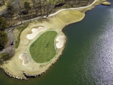 Welcome to this beautifully appointed lodge in the highly on Ledgestone Country Club and Golf Course in Missouri - for sale on GolfHomes.com, golf home, golf lot