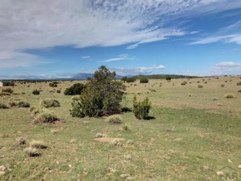 This property is located just a short distance from Walsenburg on Walsenburg Golf Club in Colorado - for sale on GolfHomes.com, golf home, golf lot
