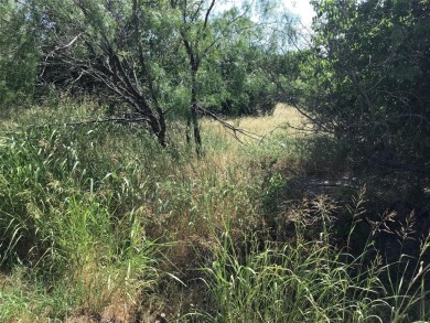 Great elbow room on two lots making a little over half an acre on White Bluff Resort - Old Course in Texas - for sale on GolfHomes.com, golf home, golf lot