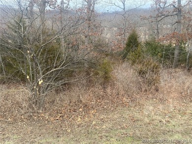 Build your dream home on the fairway in the heart of Four on Seasons Ridge At Four Seasons in Missouri - for sale on GolfHomes.com, golf home, golf lot