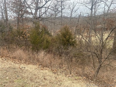 An exceptional opportunity to own a golf course homesite in Four on Seasons Ridge At Four Seasons in Missouri - for sale on GolfHomes.com, golf home, golf lot