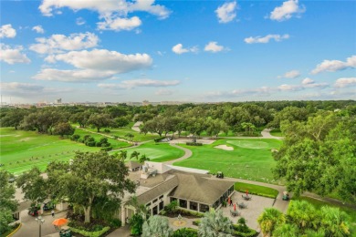 Welcome to Orange Tree in the Heart of Dr. Phillips. Location on Orange Tree Golf Club in Florida - for sale on GolfHomes.com, golf home, golf lot