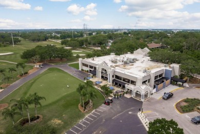 Welcome to Your Charming Villa in East Lake Woodlands!

Nestled on East Lake Woodlands Country Club in Florida - for sale on GolfHomes.com, golf home, golf lot