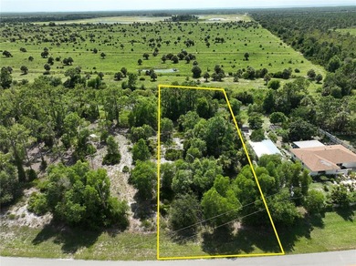 Electric is running in front of this paved road lot with pond on Seminole Lakes Country Club in Florida - for sale on GolfHomes.com, golf home, golf lot