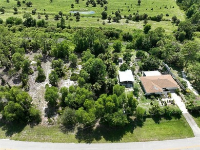 Electric is running in front of this paved road lot with pond on Seminole Lakes Country Club in Florida - for sale on GolfHomes.com, golf home, golf lot