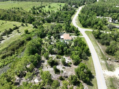 Electric is running in front of this paved road lot with pond on Seminole Lakes Country Club in Florida - for sale on GolfHomes.com, golf home, golf lot