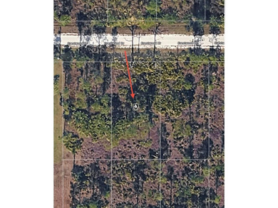 Easy access to US 41 and I-75. Quiet country-like setting but on Seminole Lakes Country Club in Florida - for sale on GolfHomes.com, golf home, golf lot