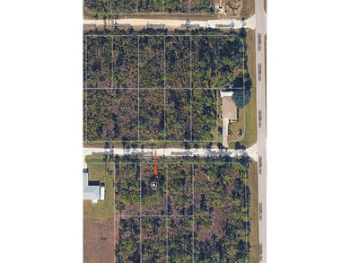 Easy access to US 41 and I-75. Quiet country-like setting but on Seminole Lakes Country Club in Florida - for sale on GolfHomes.com, golf home, golf lot