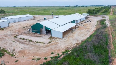 Diamond in the Rough investment opportunity at 1354 CR 1430 on Knox City Country Club in Texas - for sale on GolfHomes.com, golf home, golf lot