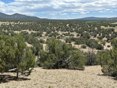Private 3+ acre homesite in the exclusive gated community of San on Paa-Ko Ridge Golf Club  in New Mexico - for sale on GolfHomes.com, golf home, golf lot