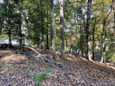 Affordable waterfront lot on Lake Tillery! Convenient to local on The Tillery Tradition Country Club in North Carolina - for sale on GolfHomes.com, golf home, golf lot