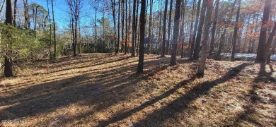 PRICE REDUCED!! What an opportunity to own and build in on Sound Golf Links at Albemarle Plantation in North Carolina - for sale on GolfHomes.com, golf home, golf lot