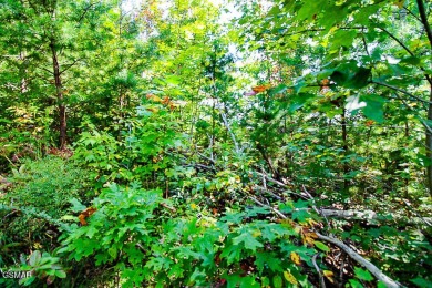 Lot 78 Vixen Run is an excellent residential lot located in the on Bent Creek Golf Course in Tennessee - for sale on GolfHomes.com, golf home, golf lot