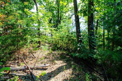 Lot 78 Vixen Run is an excellent residential lot located in the on Bent Creek Golf Course in Tennessee - for sale on GolfHomes.com, golf home, golf lot
