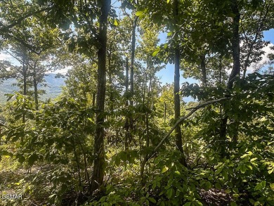 Lot 78 Vixen Run is an excellent residential lot located in the on Bent Creek Golf Course in Tennessee - for sale on GolfHomes.com, golf home, golf lot