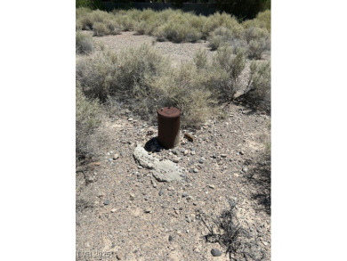Excellent flat rectangular 1.23 acre residential parcel across on Silverstone Golf Club in Nevada - for sale on GolfHomes.com, golf home, golf lot