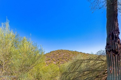 Experience resort-style living in this two-bedroom, two-bath on Starr Pass Golf Club in Arizona - for sale on GolfHomes.com, golf home, golf lot