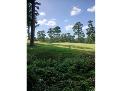 Discover the potential in this spacious 3 bedroom, 3 bath home on DeSoto Golf Course in Arkansas - for sale on GolfHomes.com, golf home, golf lot