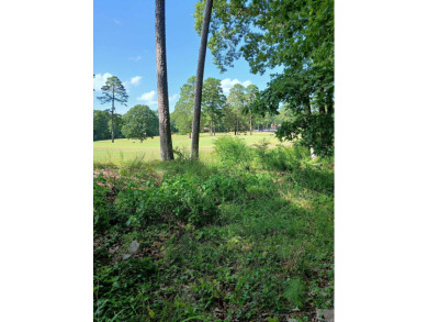 Discover the potential in this spacious 3 bedroom, 3 bath home on DeSoto Golf Course in Arkansas - for sale on GolfHomes.com, golf home, golf lot