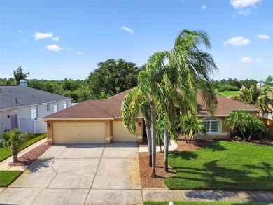 Under contract-accepting backup offers. Spacious Golf Course on Summerfield Crossing Golf Club in Florida - for sale on GolfHomes.com, golf home, golf lot