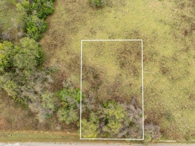 Come take a look at this gorgeous partially cleared lot on White Bluff Resort - New Course in Texas - for sale on GolfHomes.com, golf home, golf lot