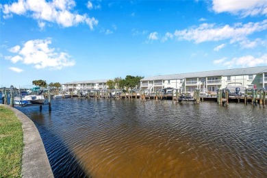 Exceptional value in Waterside South at Coquina Key!
This on St. Petersburg Country Club in Florida - for sale on GolfHomes.com, golf home, golf lot