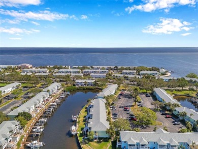 Exceptional value in Waterside South at Coquina Key!
This on St. Petersburg Country Club in Florida - for sale on GolfHomes.com, golf home, golf lot