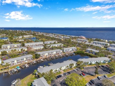 Exceptional value in Waterside South at Coquina Key!
This on St. Petersburg Country Club in Florida - for sale on GolfHomes.com, golf home, golf lot