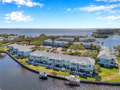 Exceptional value in Waterside South at Coquina Key!
This on St. Petersburg Country Club in Florida - for sale on GolfHomes.com, golf home, golf lot