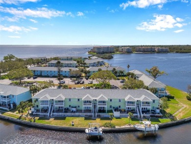 Exceptional value in Waterside South at Coquina Key!
This on St. Petersburg Country Club in Florida - for sale on GolfHomes.com, golf home, golf lot