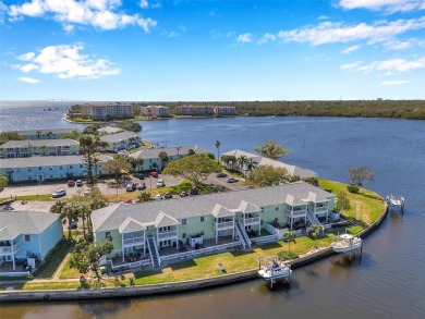 Exceptional value in Waterside South at Coquina Key!
This on St. Petersburg Country Club in Florida - for sale on GolfHomes.com, golf home, golf lot