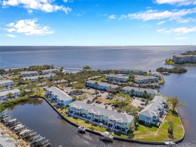 Exceptional value in Waterside South at Coquina Key!
This on St. Petersburg Country Club in Florida - for sale on GolfHomes.com, golf home, golf lot