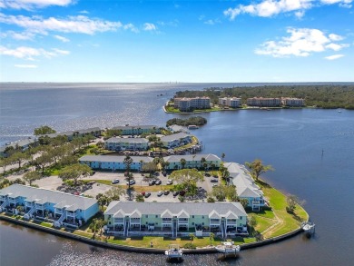 Exceptional value in Waterside South at Coquina Key!
This on St. Petersburg Country Club in Florida - for sale on GolfHomes.com, golf home, golf lot