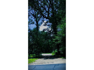 Welcome to the Piney Woods of East Texas. This is a a gorgeous on Holly Lake Ranch Golf Club in Texas - for sale on GolfHomes.com, golf home, golf lot