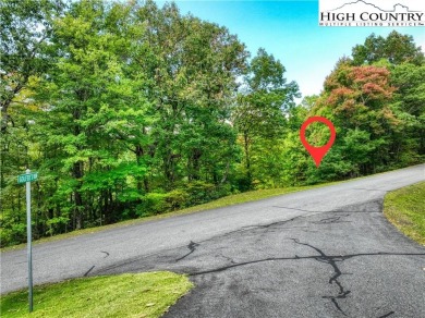 Discover your perfect homesite on this stunning lot, with 3BR on Mountain Aire Golf Course in North Carolina - for sale on GolfHomes.com, golf home, golf lot