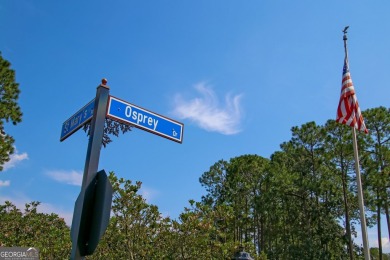 Few homesites left to select from in Osprey Cove... this is the on The Club At Osprey Cove in Georgia - for sale on GolfHomes.com, golf home, golf lot