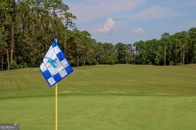 Few homesites left to select from in Osprey Cove... this is the on The Club At Osprey Cove in Georgia - for sale on GolfHomes.com, golf home, golf lot